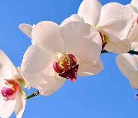 西山正规助孕捐卵机构，附正规捐卵机构报名表！